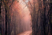 关注度极高,国足客场不敌沙特登顶微博热搜.