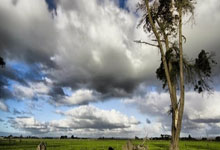 球迷态度:场面极其被动2球落后,你给国足半场表现打几分?.