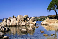 稳定火力点!波斯特半场三分7中3贡献9分 正负值+4.